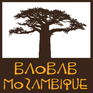 Fundación Baobab Mozambique