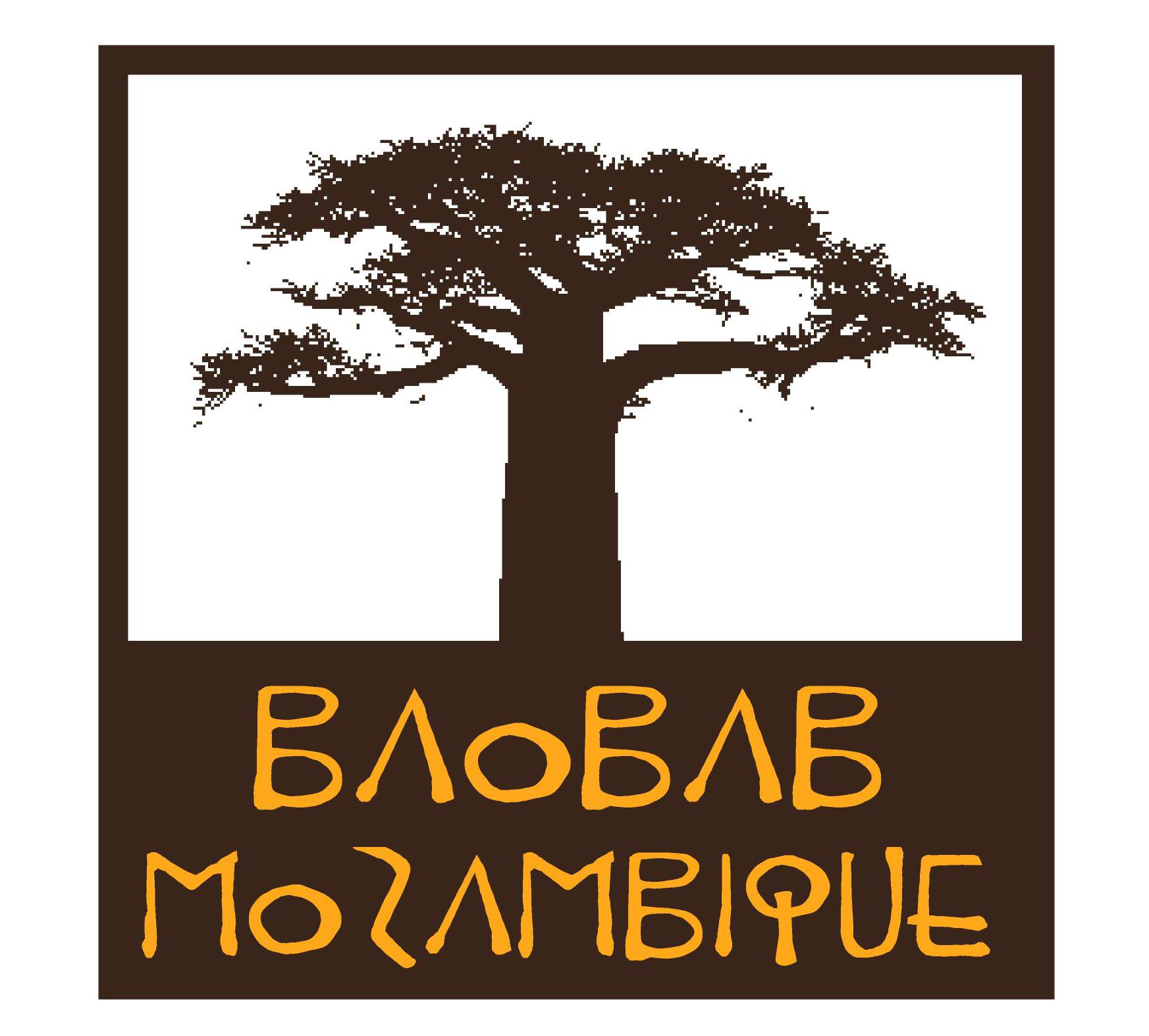 Logo Fundación Baobab Mozambique